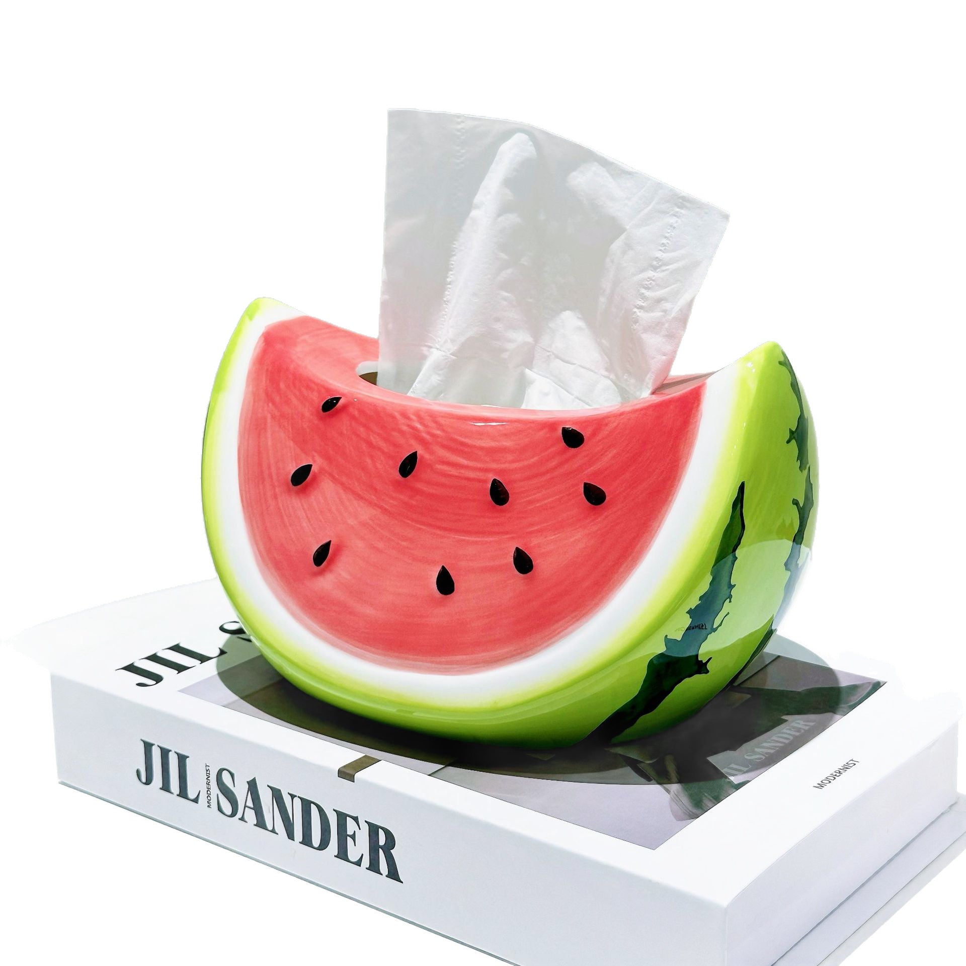 Creative Watermelon Tissue Box Decoration